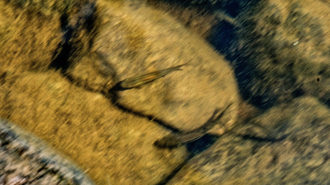 20190806-122153•Gooseberry Falls State Park•Two Harbors•Minnesota•USA